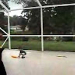 Meet your Posher, Denise